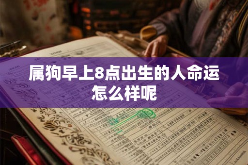属狗早上8点出生的人命运怎么样呢