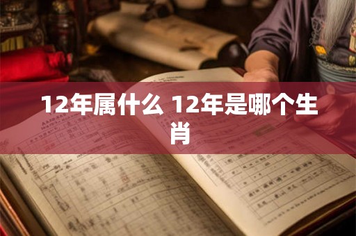 12年属什么 12年是哪个生肖