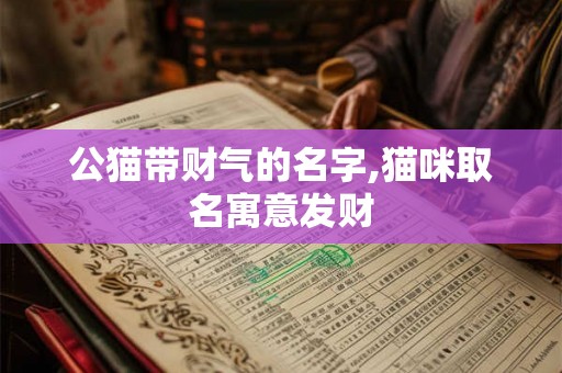 公猫带财气的名字,猫咪取名寓意发财
