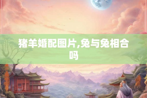 猪羊婚配图片,兔与兔相合吗