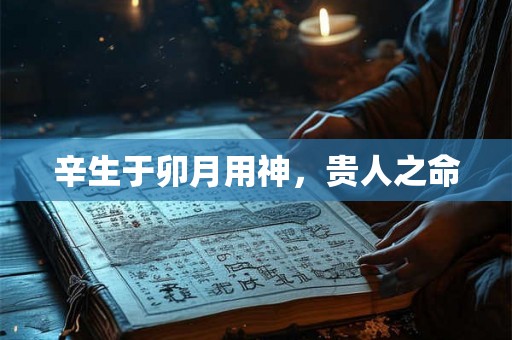 辛生于卯月用神，贵人之命