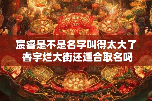 宸睿是不是名字叫得太大了 睿字烂大街还适合取名吗 宸睿是不是名字叫得太大了 睿字烂大街还适合取名吗