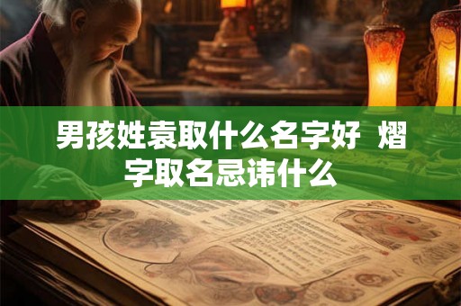 男孩姓袁取什么名字好  熠字取名忌讳什么