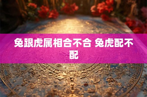 兔跟虎属相合不合 兔虎配不配