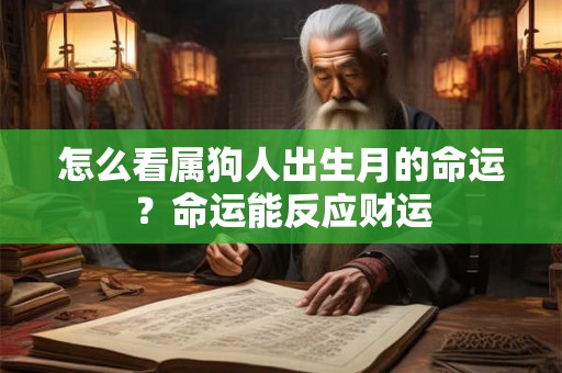 怎么看属狗人出生月的命运？命运能反应财运