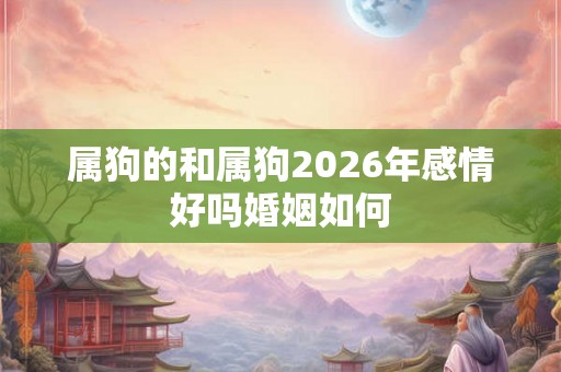属狗的和属狗2026年感情好吗婚姻如何 属狗的和属狗2026年感情好吗婚姻如何