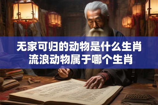 无家可归的动物是什么生肖 流浪动物属于哪个生肖