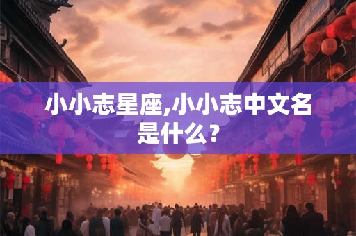 小小志星座,小小志中文名是什么？