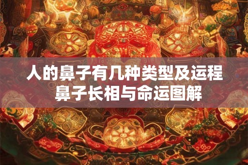 人的鼻子有几种类型及运程 鼻子长相与命运图解 人的鼻子有几种类型及运程 鼻子长相与命运图解