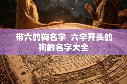 带六的狗名字 六字开头的狗的名字大全 带六的狗名字 六字开头的狗的名字大全