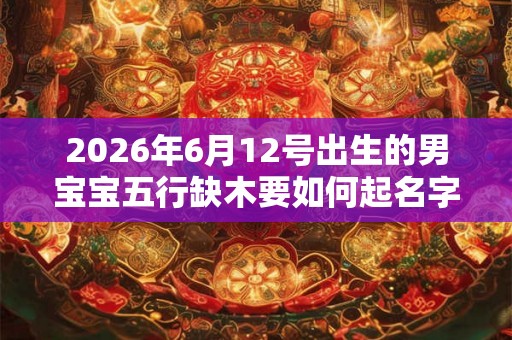 2026年6月12号出生的男宝宝五行缺木要如何起名字