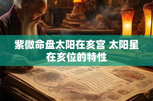 紫微命盘太阳在亥宫 太阳星在亥位的特性