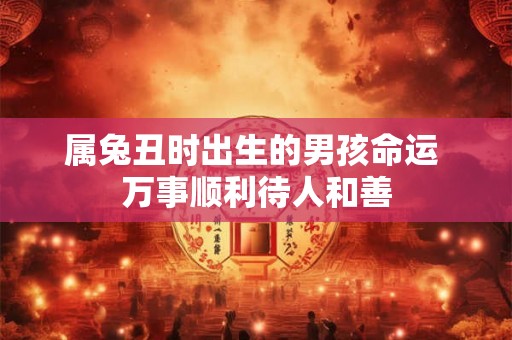 属兔丑时出生的男孩命运 万事顺利待人和善