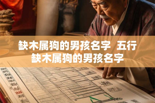 缺木属狗的男孩名字  五行缺木属狗的男孩名字