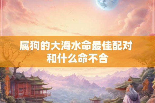 属狗的大海水命最佳配对 和什么命不合