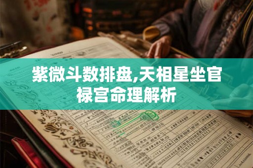 紫微斗数排盘,天相星坐官禄宫命理解析