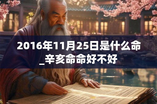 2016年11月25日是什么命_辛亥命命好不好