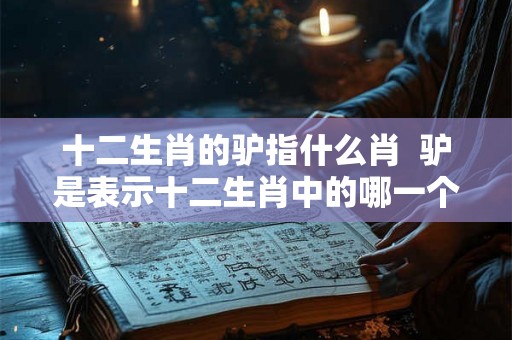 十二生肖的驴指什么肖 驴是表示十二生肖中的哪一个 十二生肖的驴指什么肖 驴是表示十二生肖中的哪一个
