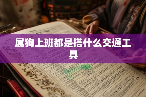 属狗上班都是搭什么交通工具 属狗上班都是搭什么交通工具