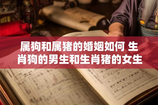 属狗和属猪的婚姻如何 生肖狗的男生和生肖猪的女生缘份指数