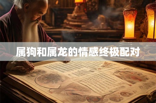 属狗和属龙的情感终极配对 属狗和属龙的情感终极配对