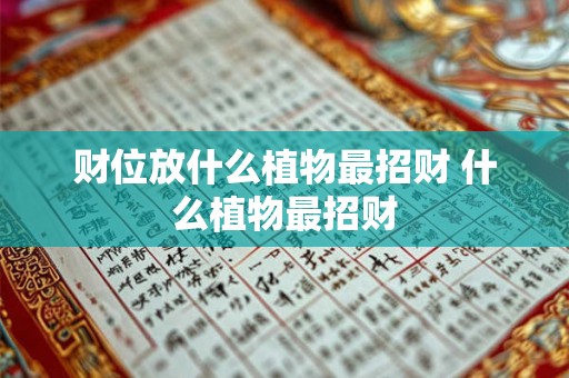 财位放什么植物最招财 什么植物最招财