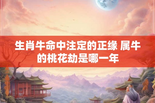 生肖牛命中注定的正缘 属牛的桃花劫是哪一年 生肖牛命中注定的正缘 属牛的桃花劫是哪一年