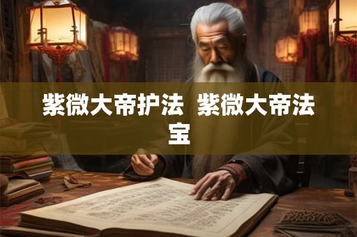 紫微大帝护法  紫微大帝法宝