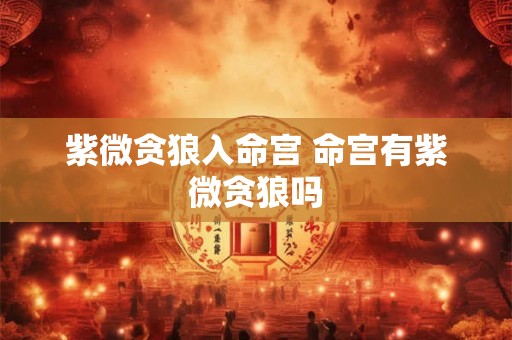 紫微贪狼入命宫 命宫有紫微贪狼吗