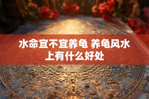 水命宜不宜养龟 养龟风水上有什么好处