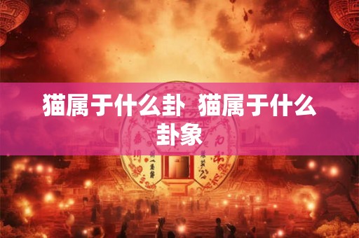 猫属于什么卦  猫属于什么卦象