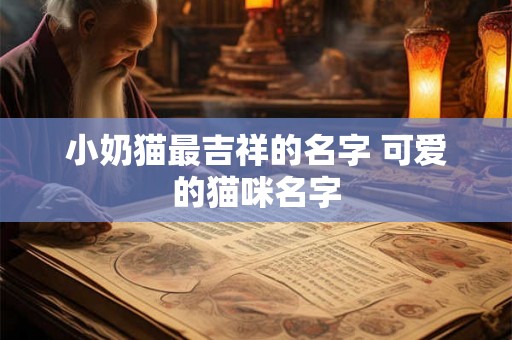 小奶猫最吉祥的名字 可爱的猫咪名字 小奶猫最吉祥的名字 可爱的猫咪名字