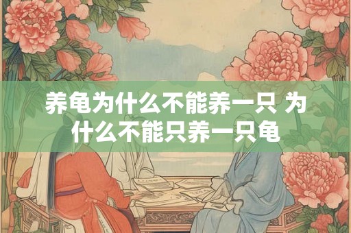 养龟为什么不能养一只 为什么不能只养一只龟