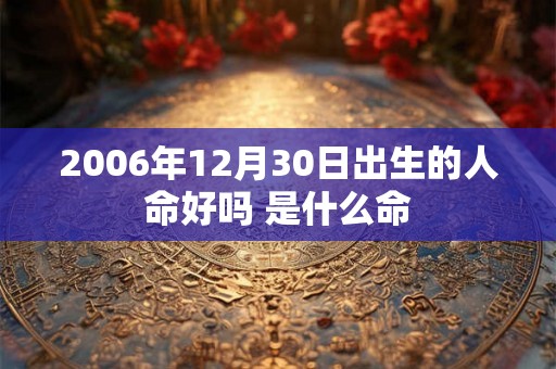2006年12月30日出生的人命好吗 是什么命