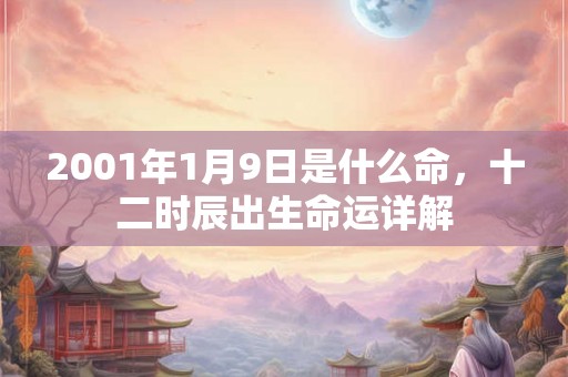 2001年1月9日是什么命，十二时辰出生命运详解