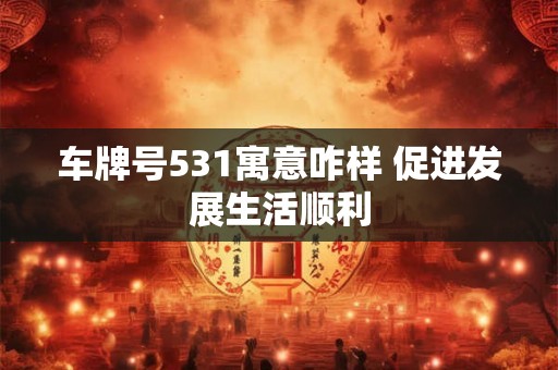 车牌号531寓意咋样 促进发展生活顺利 车牌号531寓意咋样 促进发展生活顺利