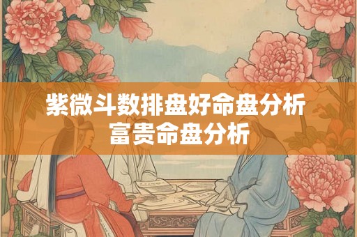 紫微斗数排盘好命盘分析 富贵命盘分析