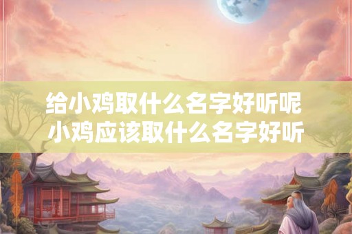 给小鸡取什么名字好听呢 小鸡应该取什么名字好听