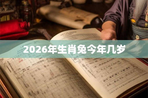 2026年生肖兔今年几岁