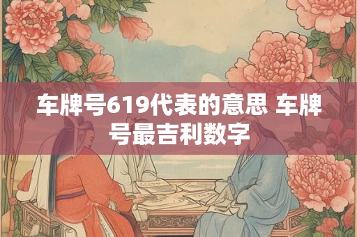 车牌号619代表的意思 车牌号最吉利数字