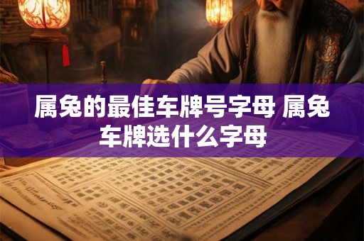 属兔的最佳车牌号字母 属兔车牌选什么字母