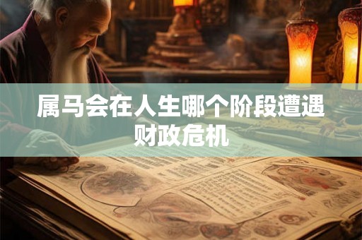 属马会在人生哪个阶段遭遇财政危机