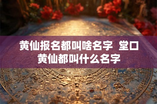 黄仙报名都叫啥名字  堂口黄仙都叫什么名字