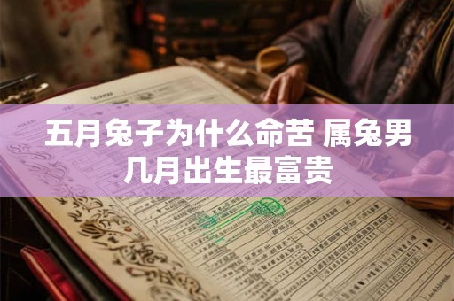 五月兔子为什么命苦 属兔男几月出生最富贵 五月兔子为什么命苦 属兔男几月出生最富贵