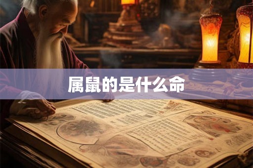 属鼠的是什么命