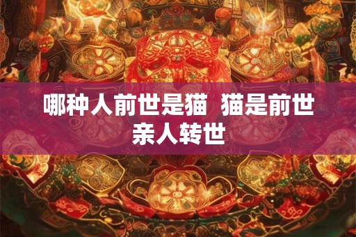 哪种人前世是猫  猫是前世亲人转世