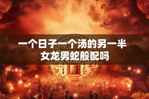 一个日子一个汤的另一半  女龙男蛇般配吗