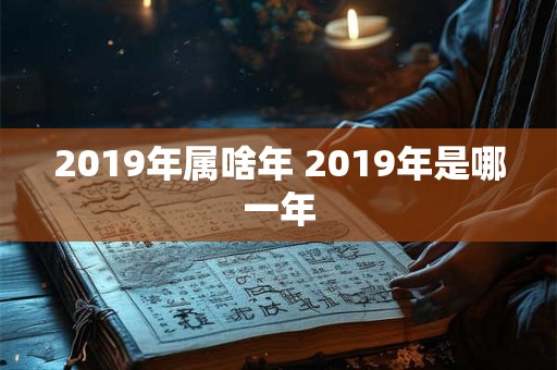 2019年属啥年 2019年是哪一年