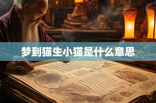 梦到猫生小猫是什么意思