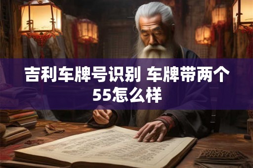 吉利车牌号识别 车牌带两个55怎么样
